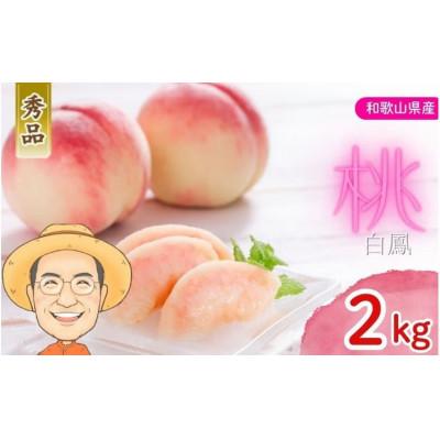 ふるさと納税 かつらぎ町 [秀品]桃 白鳳 約2kg 箱 (8〜9個) カキエモン農園