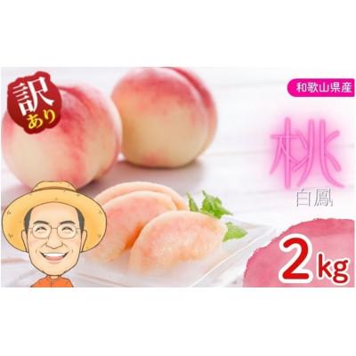 ふるさと納税 かつらぎ町 [訳あり・ご家庭用]桃 白鳳 約2kg 箱 (8〜9個) サイズ混合 カキエモン農園