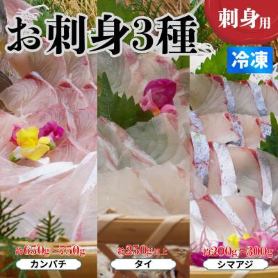 ふるさと納税 海陽町 [カンパチ・タイ・シマアジ]お刺身3種詰合せ(柵) 刺身用 小分けタイプ 冷凍でお届けします!