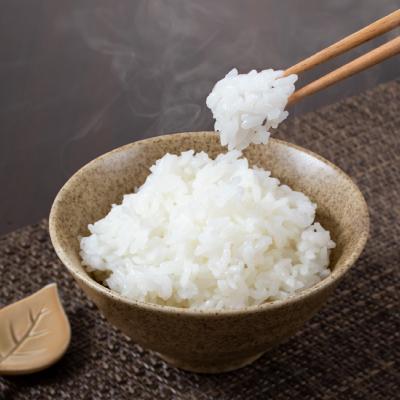 ふるさと納税 鶴岡市 庄内米 パックライス(200g×24P)レンジで温めるだけ!パックご飯　災害備蓄用に最適! |  | 02