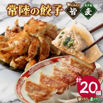 ふるさと納税 水戸市 餃子2種 皆(kai)&amp;麦(mugi)計20個 Wにんにく もち麦 手作り 茨城県 水戸市