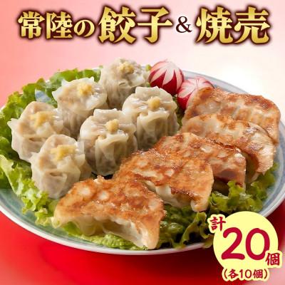 ふるさと納税 水戸市 餃子&amp;焼売 各10個 レンジ調理 国産 手作りおかず お取り寄せグルメ