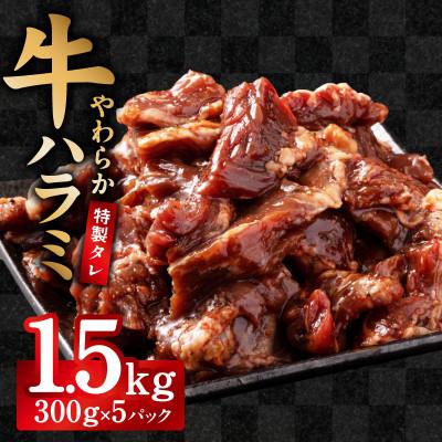 ふるさと納税 泉佐野市 [やわらか仕込み]牛ハラミ 1.5kg 味付き 焼肉用 小分け 冷凍 焼くだけ