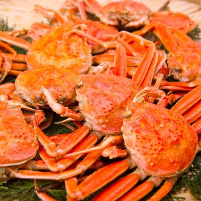 ふるさと納税 森町 [訳あり]浜茹でオオズワイガニ 1.5kg 詰め込みセット 北海道噴火湾産