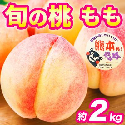 ふるさと納税 錦町 熊本県 フルーツの町 錦町産 みずみずしく甘い 旬の桃 もも 約2kg(5〜11玉)(錦町)
