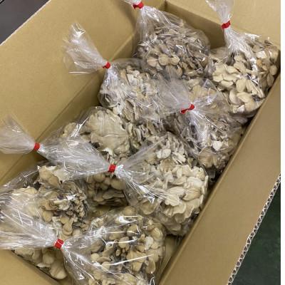 ふるさと納税 厚沢部町 北海道厚沢部町産 業務用えぞまいたけ(バラタイプ)500g×8個
