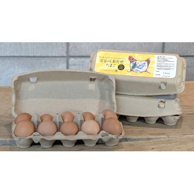 ふるさと納税 稚内市 宗谷のしおかぜたまご30個