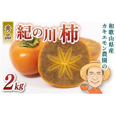 ふるさと納税 かつらぎ町 秀品 紀の川柿 約2kg カキエモン農園