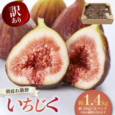 ふるさと納税 南知多町 [2026年産先行予約]愛知県南知多町産 訳あり いちじく 約350g×4パック 計約1.4kg
