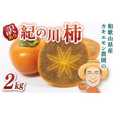 ふるさと納税 かつらぎ町 [訳あり・ご家庭用]紀の川柿 約2kg カキエモン農園