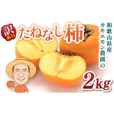ふるさと納税 かつらぎ町 [訳あり・ご家庭用]たねなし柿 約2kg カキエモン農園