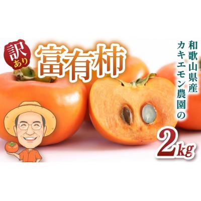 ふるさと納税 かつらぎ町 [訳あり・ご家庭用]富有柿 約2kg カキエモン農園