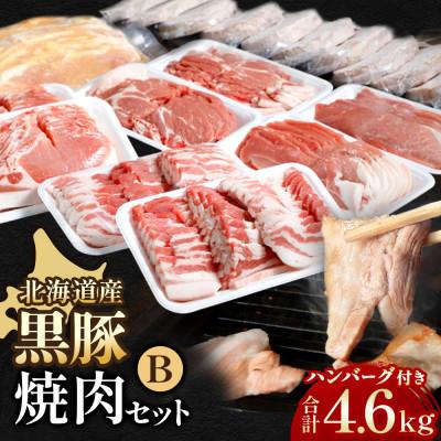 ふるさと納税 池田町 北海道 黒豚焼肉Bセット計4600g・ハンバーグ10個・味噌漬け350g付 ロース 肩ロース バラ
