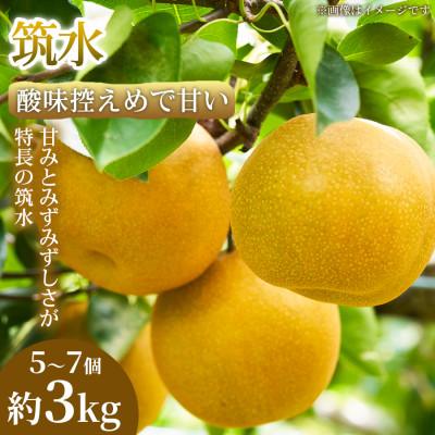 ふるさと納税 錦町 [酸味控えめで甘い]果汁あふれる熊本県産 筑水 5~7個(約3kg)1箱