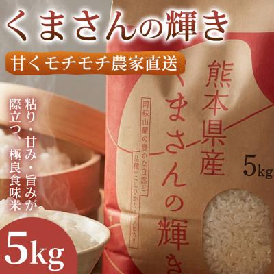 ふるさと納税 錦町 [極良食味]熊本県産くまさんの輝き 5kg 1袋|15年育成の甘み際立つブランド米