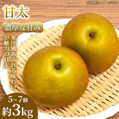 ふるさと納税 錦町 [濃厚な甘み]やわらか果肉の甘太 5~7個(約3kg)1箱