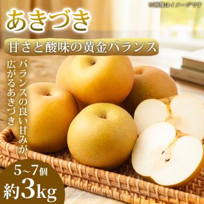 ふるさと納税 錦町 [甘さと酸味の黄金バランス]熊本県産 あきづき 5~7個(約3kg)1箱