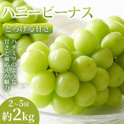 ふるさと納税 錦町 [とろける甘さ]熊本県産ハニービーナス 2~5房(約2kg) 1箱