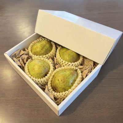 ふるさと納税 尾花沢市 先行予約 ラ・フランス 秀品 約1kg 2026年産 令和8年産 sb-lasyx1 |  | 01