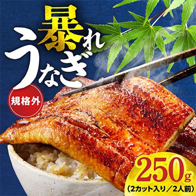 ふるさと納税 泉佐野市 [規格外]うなぎ 暴れ盛り 250g(2カット) お試し かば焼き 簡単調理 訳あり