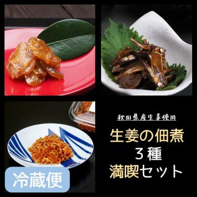 ふるさと納税 潟上市 冷蔵便[秋田県産生姜使用]生姜の佃煮シリーズ!3種満喫セット