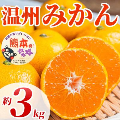 ふるさと納税 玉名市 温州みかん 2S〜2L 約3kg(玉名市)