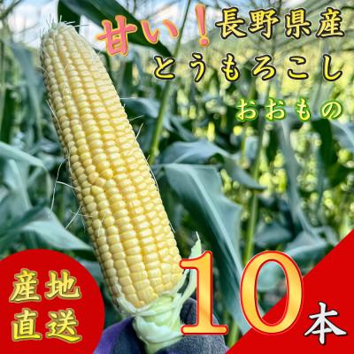 ふるさと納税 長和町 [先行予約] 長野県長和町産 黒耀水育ちのあまいとうもろこし 人気品種「おおもの」10本入り