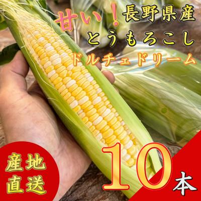 ふるさと納税 長和町 [先行予約] 長野県長和町産 黒耀水育ちのあまいとうもろこし 人気品種「ドルチェドリーム」10本入り