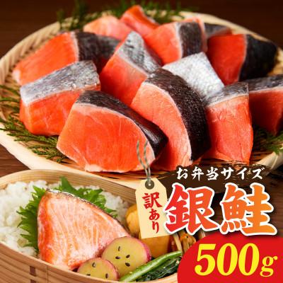 ふるさと納税 泉佐野市 鮭の切り身 500g(11〜13切れ) お弁当用におすすめ 訳アリ 010B1932
