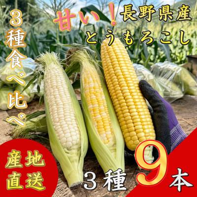 ふるさと納税 長和町 [先行予約] 長野県長和町産 黒耀水育ちのあまいとうもろこし スイートコーン人気3品種食べ比べセット