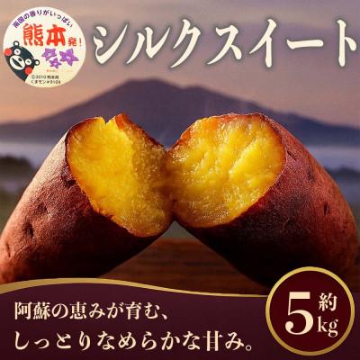 ふるさと納税 合志市 シルクスイート さつまいも 約5kg(合志市)