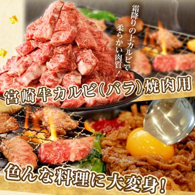 ふるさと納税 都農町 全部小分け真空パック!!「宮崎牛カルビ(バラ)焼肉用」計1kg【T041-0075】 |  | 01