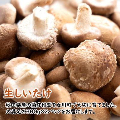 ふるさと納税 女川町 宮城県女川町　椎茸2パック　元祖おからかりんとう3袋_2