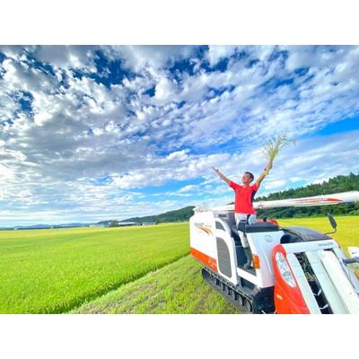 ふるさと納税 村上市 【新米受付・令和8年産米】新潟県村上市産 特別