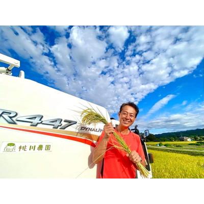 ふるさと納税 村上市 【新米受付・令和8年産米】新潟県村上市産 特別