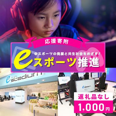 ふるさと納税 泉佐野市 [返礼品なし]eスポーツの発展と共生社会の実現をめざす!eスポーツ推進応援寄附