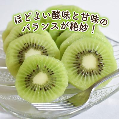 ふるさと納税 松山市 キウイフルーツ ヘイワード 約1.5kg 産地直送 |  | 01