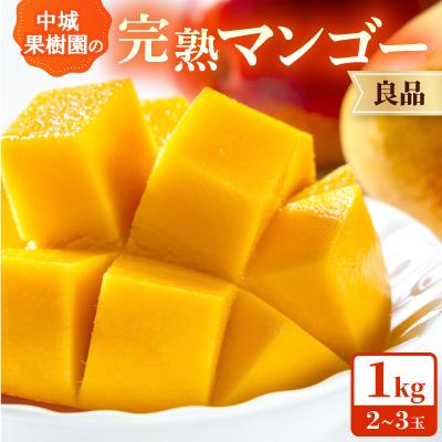 ふるさと納税 中城村 [2026年7月から順次発送・白箱]中城果樹園の完熟アップルマンゴー 良品1.0kg(2〜3玉)