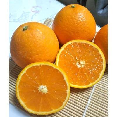 ふるさと納税 広川町 清見オレンジ みずみずしい果汁! 約4kg (SS〜2L混合サイズ)