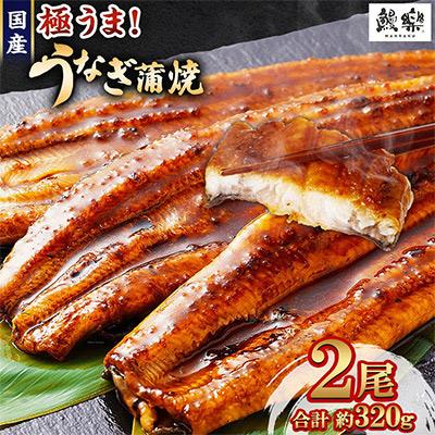 ふるさと納税 高鍋町 国産うなぎ(国産 鰻) 2尾 計約320g(高鍋町)