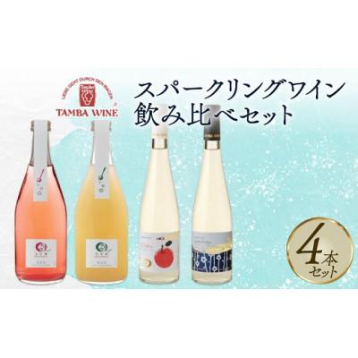 ふるさと納税 京丹波町 スパークリングワイン 飲み比べセット 4本 丹波ワイン