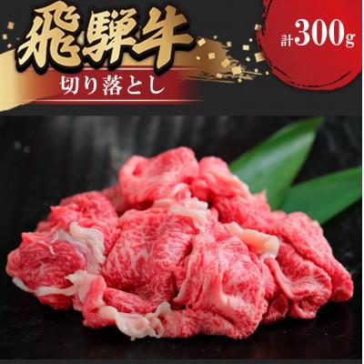 ふるさと納税 瑞穂市 飛騨牛切り落とし 300g