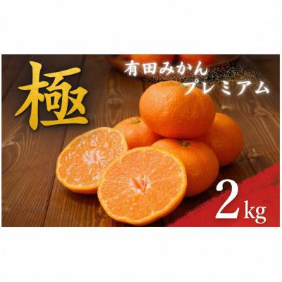 ふるさと納税 広川町 有田みかんプレミアム 極 約2kg 糖度12度以上 2S〜L(nuk004-p-2)