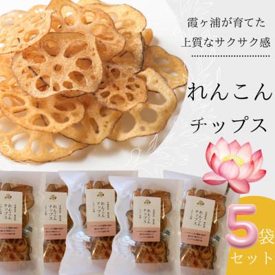ふるさと納税 かすみがうら市 れんこんチップス 30g×5袋セット