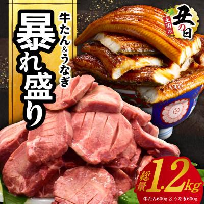 ふるさと納税 泉佐野市 [7/26土用の丑の日]暴れ盛りセット 牛たん &amp; うなぎ 総量1.2kg G3614d