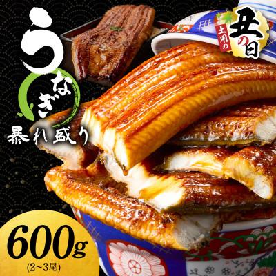 ふるさと納税 泉佐野市 [7/26土用の丑の日]うなぎ 蒲焼き 暴れ盛り 合計600g 真空パック G3615d
