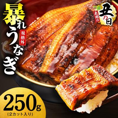 ふるさと納税 泉佐野市 [7/26土用の丑の日]うなぎ 暴れ盛り 250g(2カット) 規格外 お試し G3973d