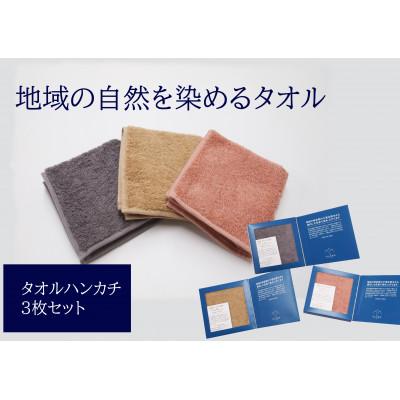 ふるさと納税 伊予市 タオルハンカチ3枚セット 地域の自然を染めるタオル(ピンク・ベージュ・グレー)