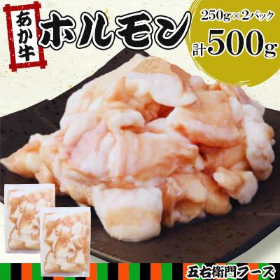 ふるさと納税 あさぎり町 赤牛 ホルモン 合計500g(250g×2パック)(あさぎり町)