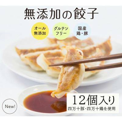 ふるさと納税 須崎市 葉にんにくと四万十豚で作った最高級餃子(6個入り×2パック)